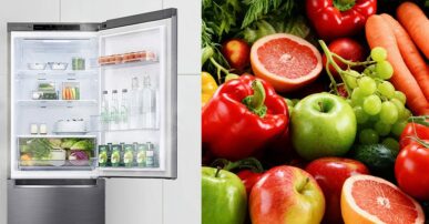 Tủ lạnh LG Inverter 305 lít GR-B305PS