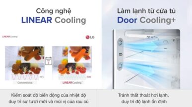 Tủ lạnh LG Inverter 374 lít GN-D372BLA